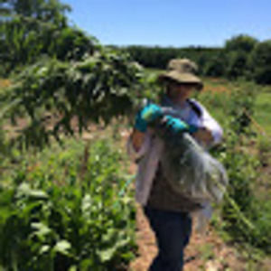 Meet your Posher, Mona